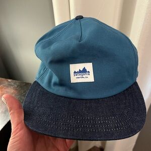 Patagonia Mens Hat